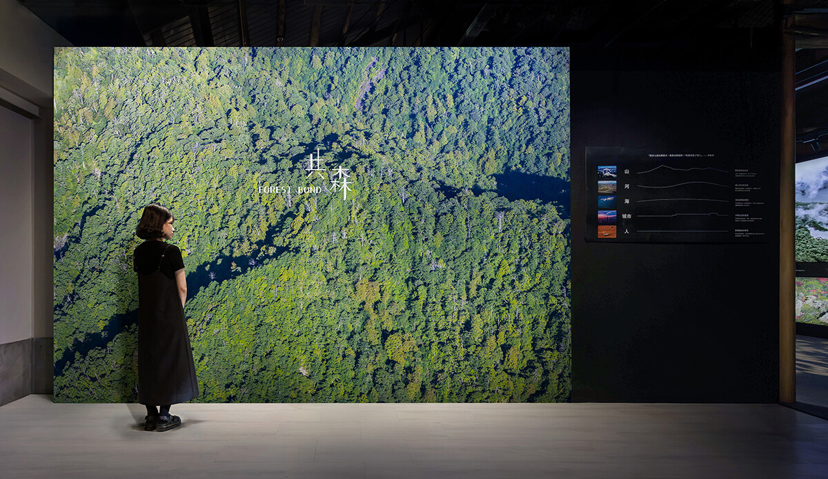 齊柏林空間-共森 20260313 齊柏林空間-共森 20260313