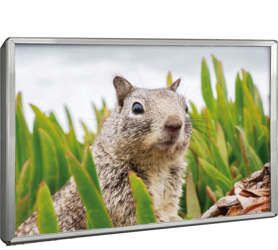 超薄燈箱5公分極薄美學-多向開啟邊框設計