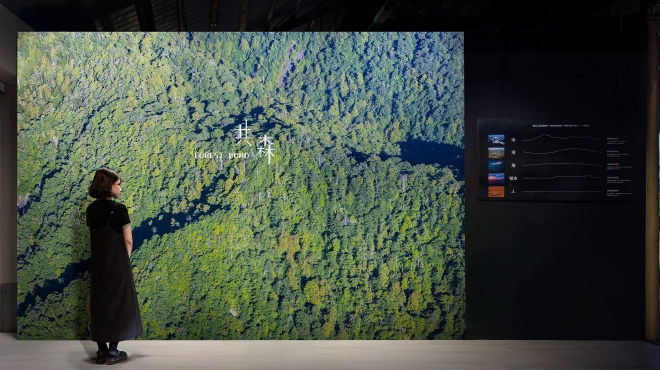 114年 淡水齊柏林空間(第二檔)-卡布燈箱工程